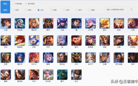 王者荣耀最厉害的肉英雄（王者荣耀哪个边坦最好）