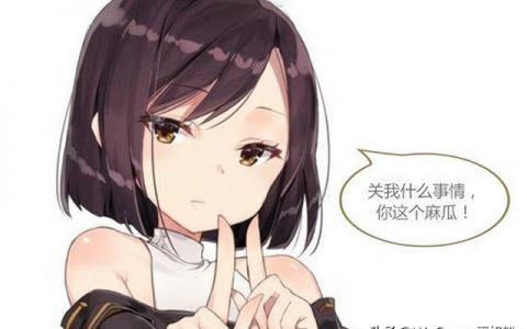 dnf奥兹玛能做到全程破招吗(dnf7大职业秒奥兹玛)