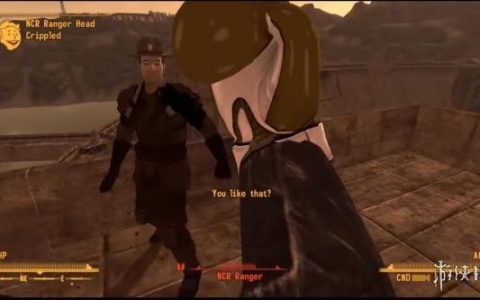 辐射新维加斯初始智力(辐射新维加斯怎么增加智力)