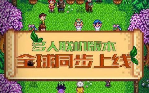 星露谷物语ns与pc联机(星露谷物语ns能和pc联机吗)