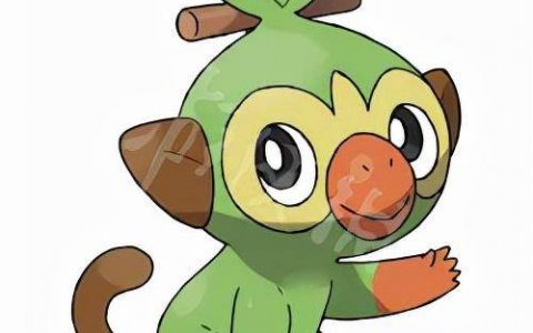 宝可梦有多少属性(所有宝可梦有哪些属性)