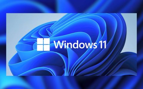 微软Windows 11增速停滞 Windows 10 21H2夺得第一宝座