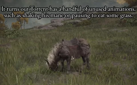 灵马托雷特原来会踹人？ 《艾尔登法环》玩家发现多项未实装的坐骑动作模块