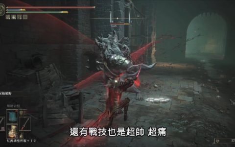 【艾尔登法环】新版v1.03 、出血感应流、武器尸山血海、艾琉诺拉的双头薙刀攻略大全
