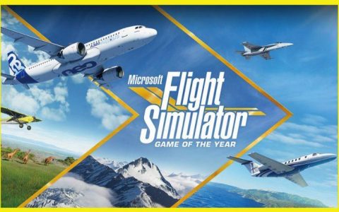 终于支持中文版了！ 《微软模拟飞行 MSFS 2020》官方透露这个好消息