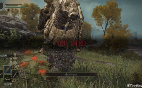 萌新问入坑《法环》该注意？ 骨灰级学长出面给建议：死出自己的路