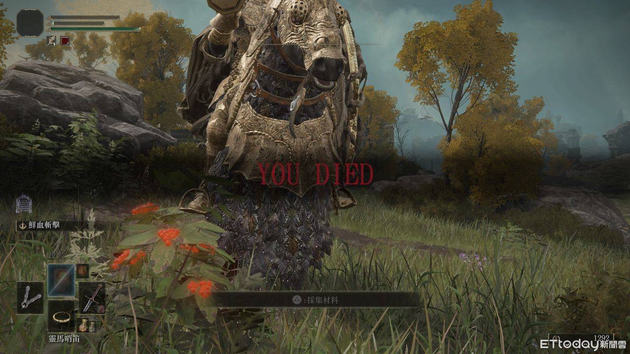 ▲▼ 艾尔登法环。