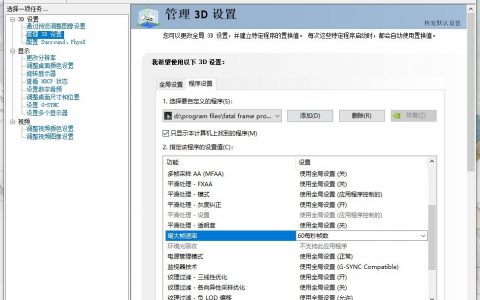 《零：濡鸦之巫女》Steam版游戏速度快解决方法