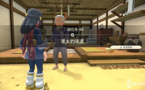《宝可梦传说 阿尔宙斯》副任务48 家乡的味道