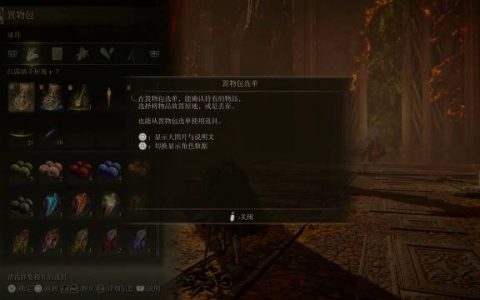 《艾尔登法环》游戏内建暂停功能，网：绝对会被修正