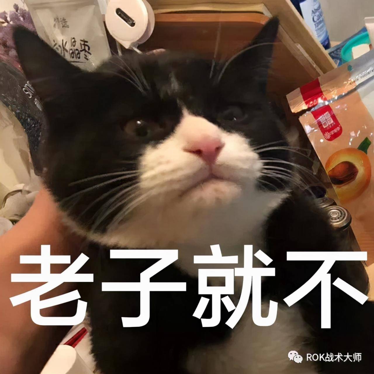 万国觉醒打法思路教学(万国觉醒团战站位讲解)