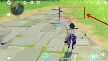 《原神》蜥蜴尾巴怎么快速获得？