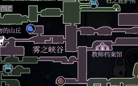 空洞骑士雾之峡谷通关详解(空洞骑士雾之峡谷攻略)