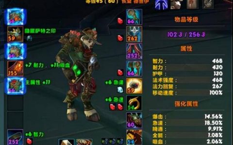附魔护腕特效智力(附魔护腕12智力和15法伤)