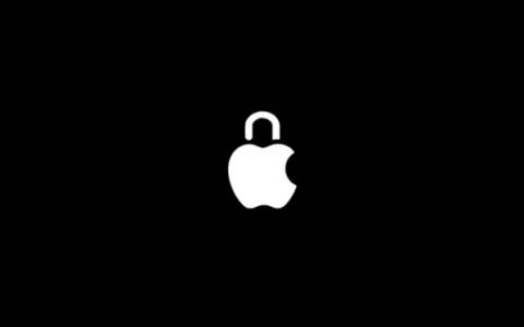 Apple 以“隐私法薄弱”为由退出行业贸易组织