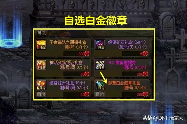 DNF全职业白金徽章推荐(dnf各职业白金徽章一览表)