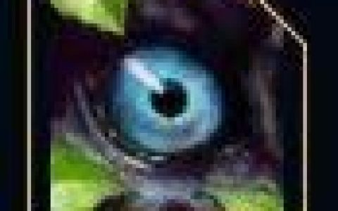 lol雷恩加尔打野出装(lol雷恩加尔出装s10打野)