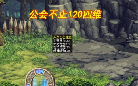 dnf工会升级奖励(dnf公会10级奖励)