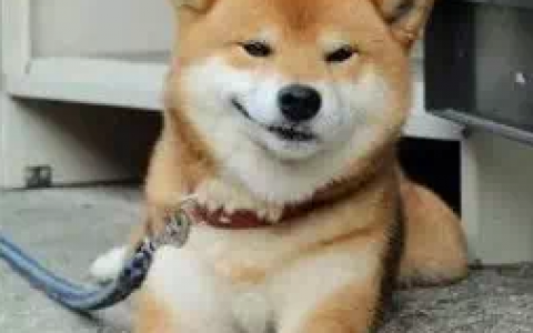 跑跑卡丁车漂移技巧(跑跑卡丁车怎么漂移最佳)