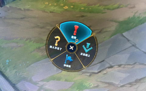 英雄联盟怎么标记这里有眼(lol怎么标记地图最好)