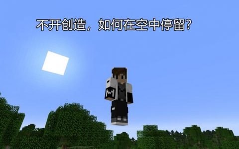 我的世界生存模式怎么飞行(我的世界生存模式怎么设置飞行)