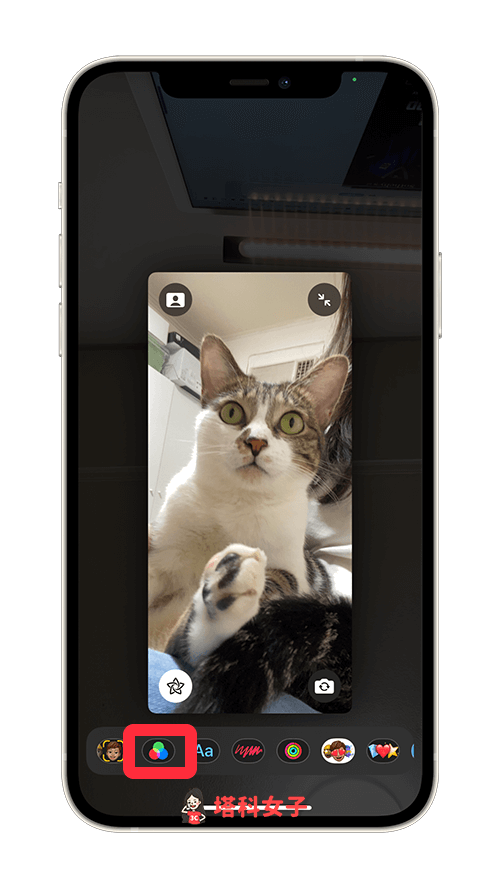 FaceTime 滤镜特效：点选「滤镜」