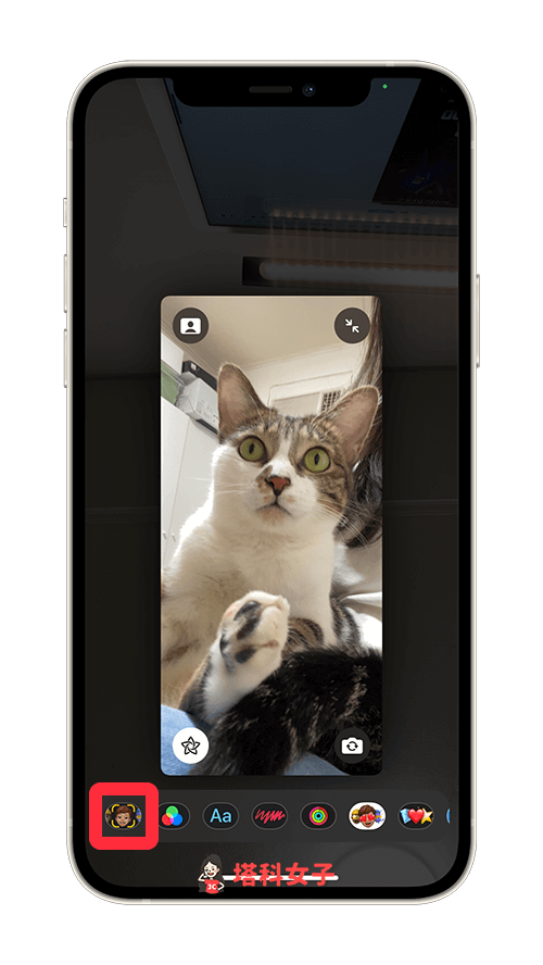 FaceTime 滤镜特效：点选「Memoji」