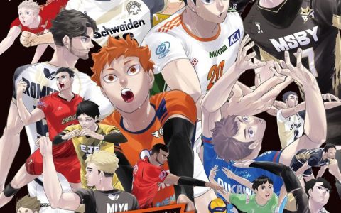 最强联队降临《排球少年》×V.League特别短篇登场