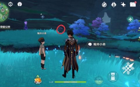 《原神》手鞠在哪？