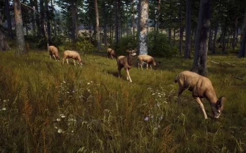 《Way of the Hunter》开放世界新作亮相，在广大地图中感受真实的狩猎体验