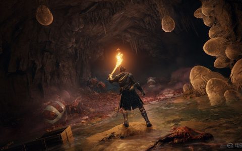 《艾尔登法环》打刀属性是什么？