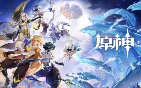 《原神》深渊使徒激流怎么破盾快？