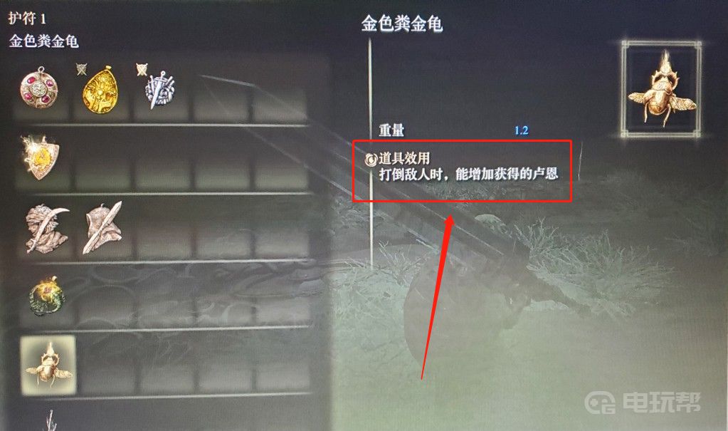 《艾尔登法环》金粪龟护符怎么用？