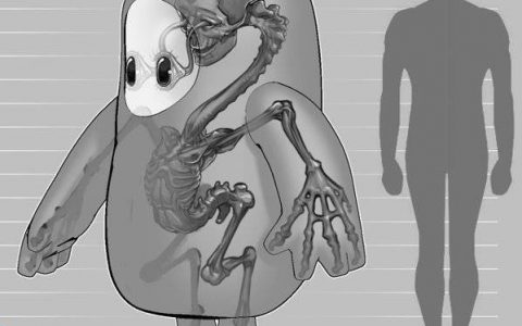 《Fall Guys》推特分享显微镜下糖豆人皮肤外观 光滑的豆子竟然长毛了？！