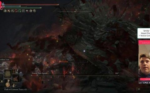 高手在民间 用头和语音操控《艾尔登法环》