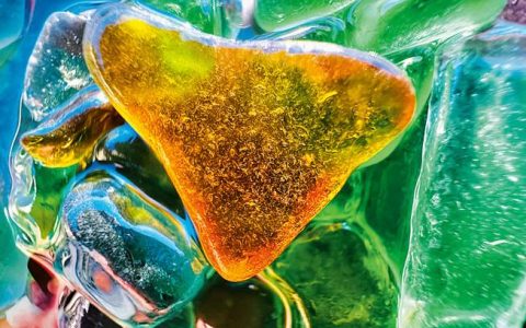 Apple 揭晓微距摄影 Shot on iPhone Challenge 10件最佳照片