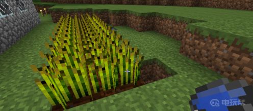 《我的世界》牛吃什么？