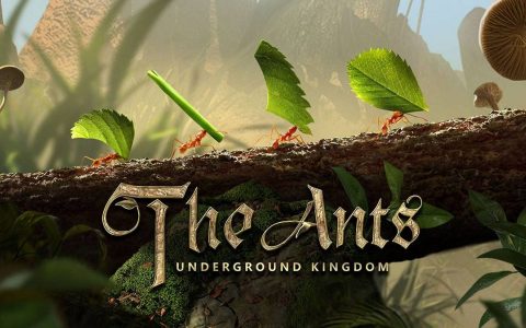 《小小蚁国》2022.05 礼包兑换码｜虚宝｜序号