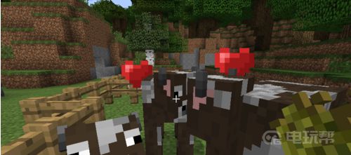 《我的世界》牛吃什么？