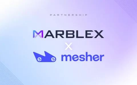 网石区块链子公司MARBLEX与Mesher签署合作备忘录 推进DEFI服务