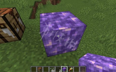 《我的世界》紫水晶块有什么用？