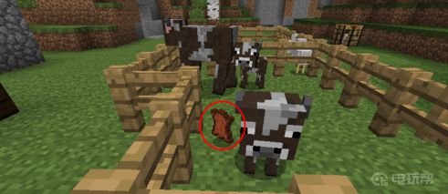 《我的世界》牛吃什么？