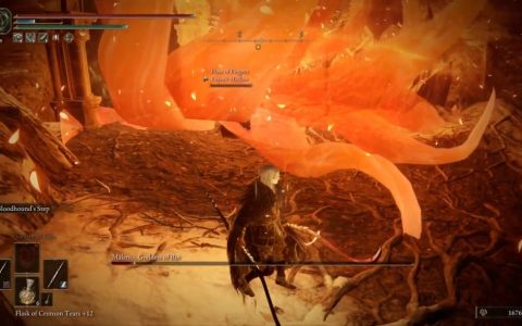 好意让你尾刀！ 《艾尔登法环》勾指主人收不掉女武神 反被Bug猩红导弹教做人