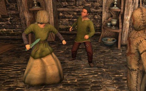 网友自研《上古卷轴5》Mod，让收养的孤儿能不断「长大」