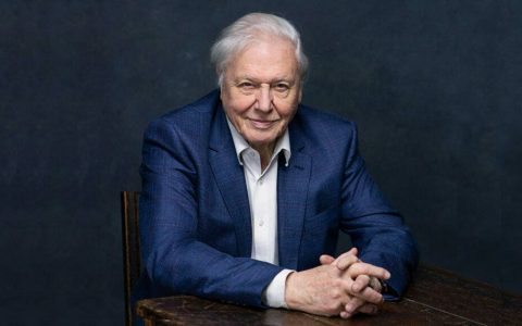 Apple TV+独家恐龙大型纪录片《Prehistoric Planet》影评！最真实的恐龙百科全书！