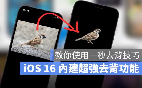 iOS 16 “拷贝主体”去背功能超强！ 教你使用内建技巧一秒去背