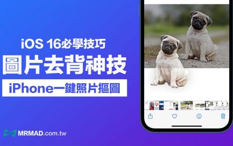 iOS 16 照片去背景技巧教学，用iPhone内建一键抠图超神速