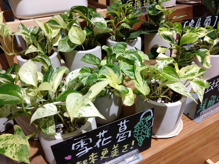 续航力好到不行的轻量中阶机，索尼 Xperia 10 IV 开箱评测