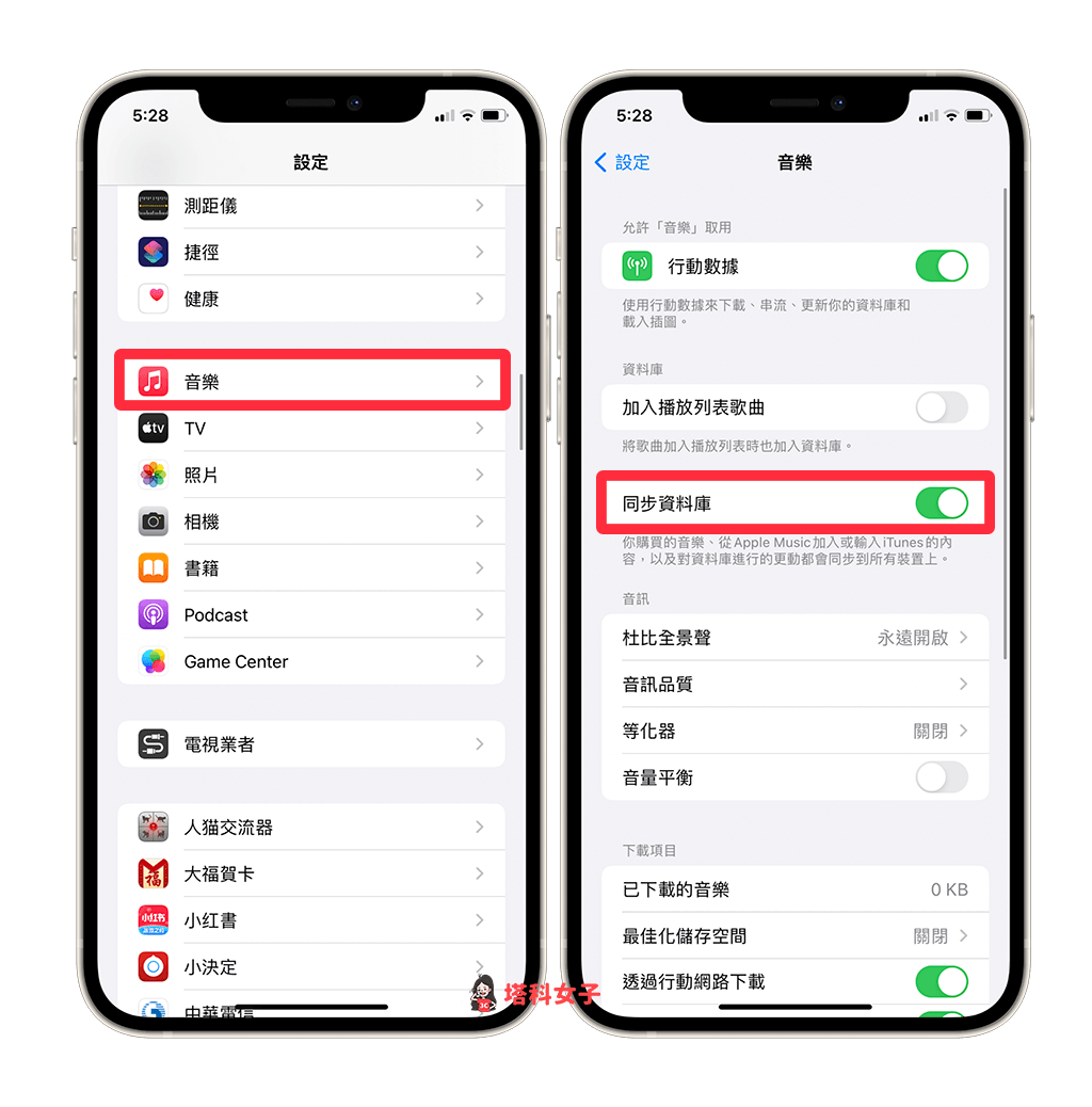 iPhone、iPad 播放已导入 Apple Music 的音乐：检查 iPhone/iPad 同步数据库设置