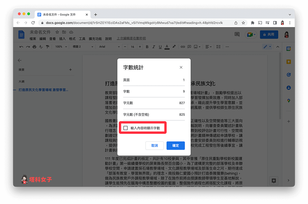 打开 谷歌 文档显示字数
